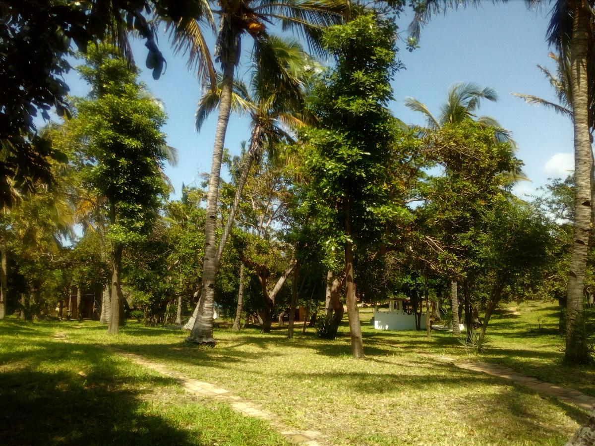 Turtle Cove Lodge And Yoga Shala Tofo Bagian luar foto