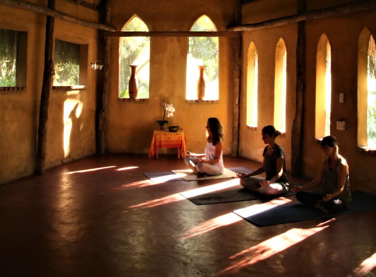 Turtle Cove Lodge And Yoga Shala Tofo Bagian luar foto