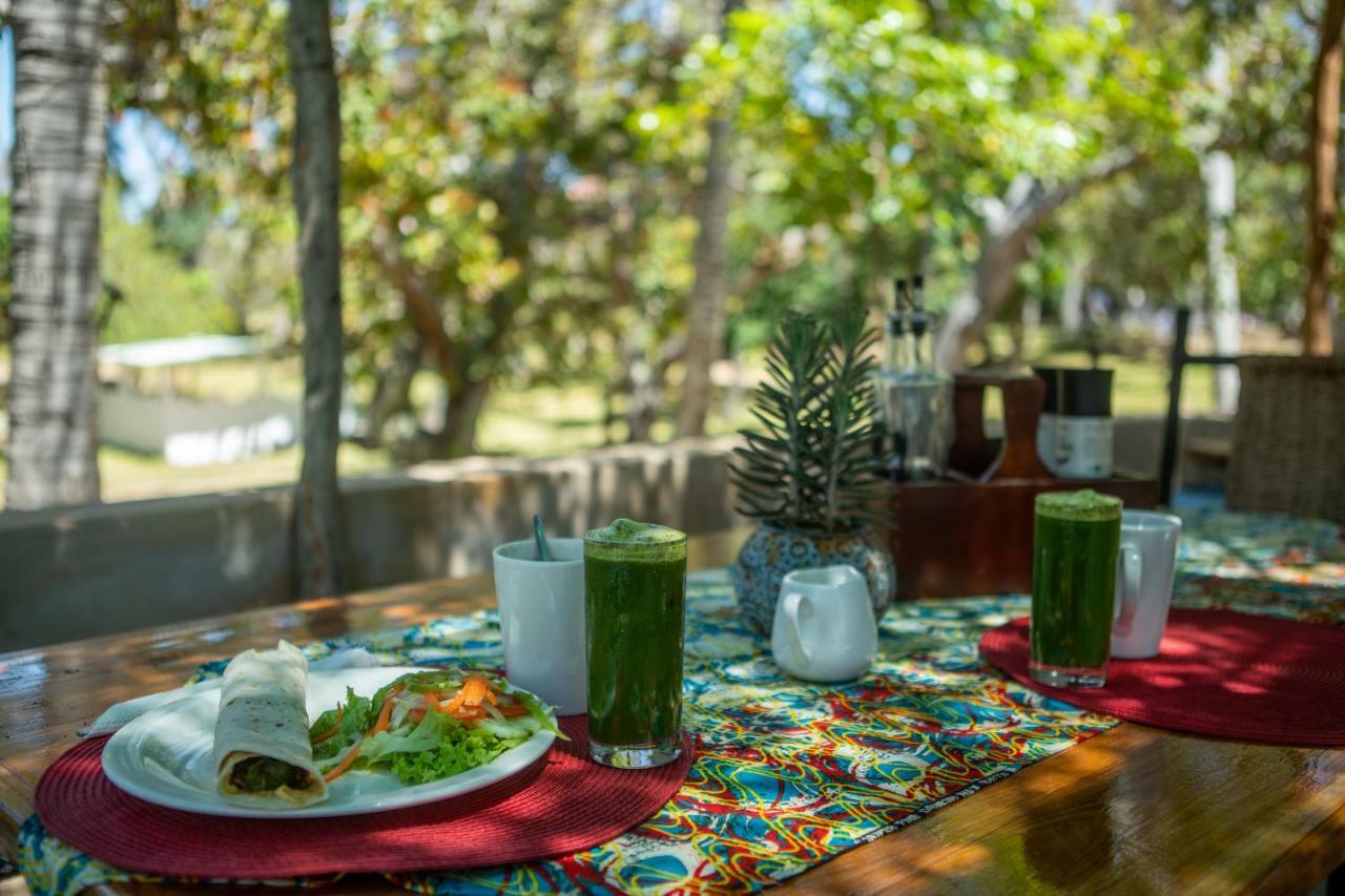 Turtle Cove Lodge And Yoga Shala Tofo Bagian luar foto