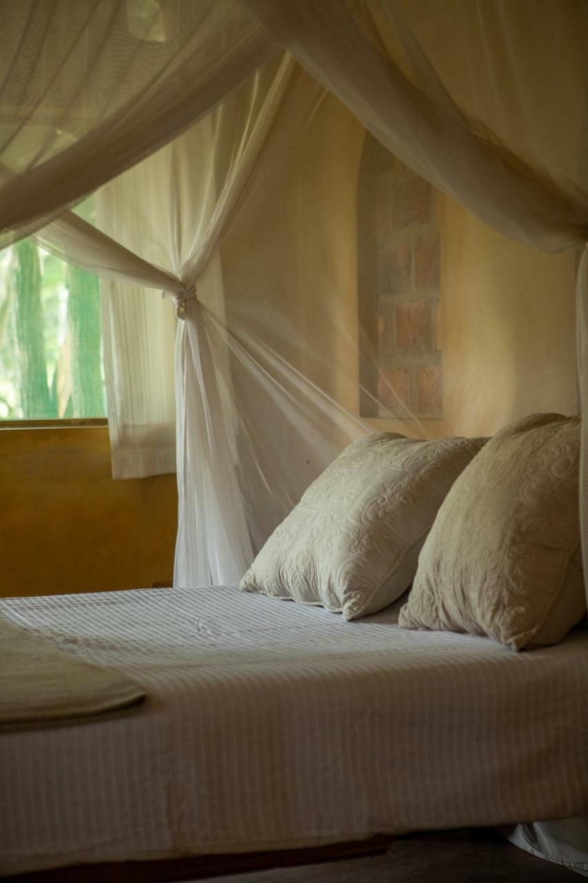 Turtle Cove Lodge And Yoga Shala Tofo Bagian luar foto