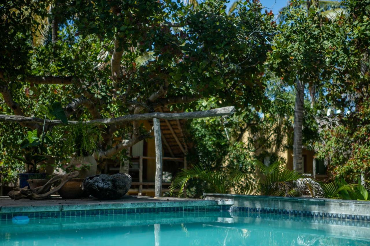 Turtle Cove Lodge And Yoga Shala Tofo Bagian luar foto