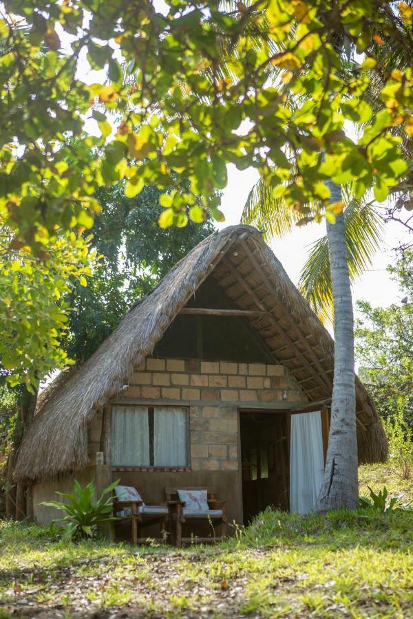 Turtle Cove Lodge And Yoga Shala Tofo Bagian luar foto