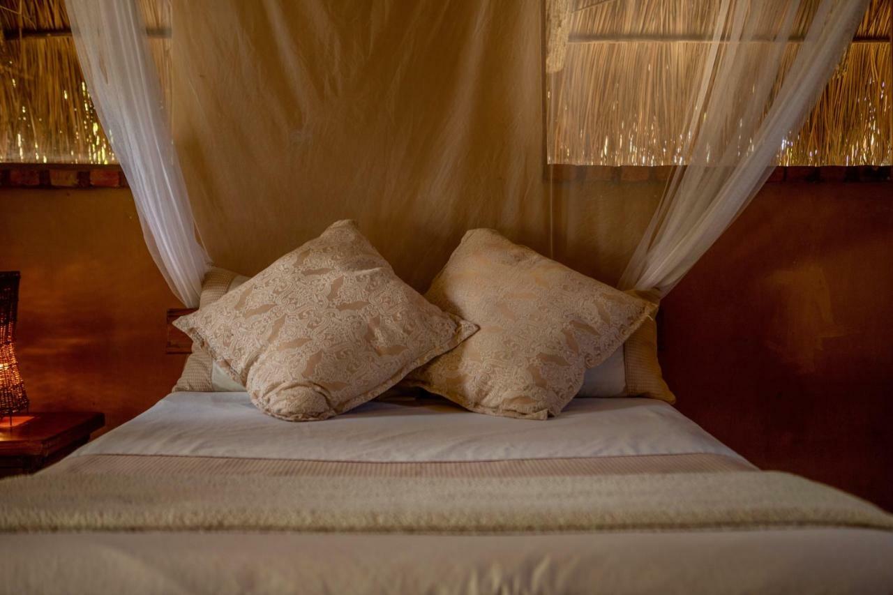 Turtle Cove Lodge And Yoga Shala Tofo Bagian luar foto